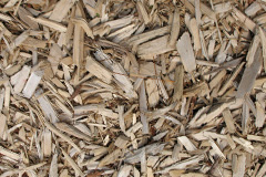 biomass boilers Dunveth